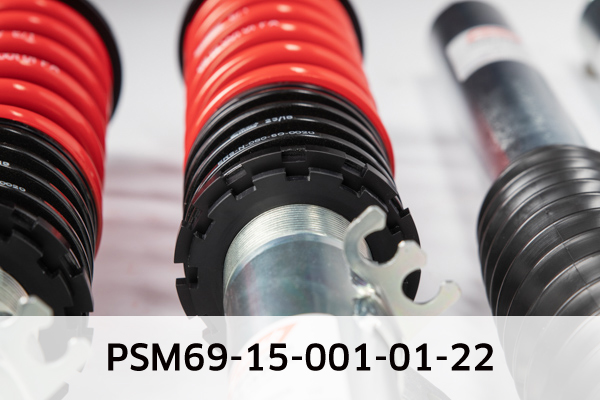 EIBACH PSM69-15-001-01-22 Pro-Street-Multi Fahrwerkssatz, Federn/Dämpfer