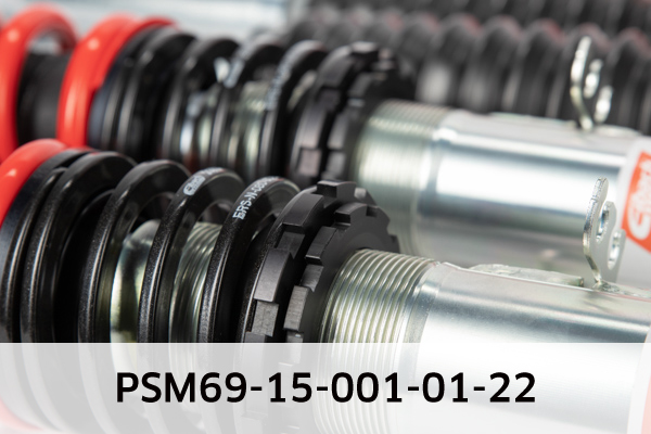 EIBACH PSM69-15-001-01-22 Pro-Street-Multi Fahrwerkssatz, Federn/Dämpfer
