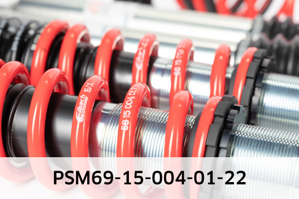 EIBACH PSM69-15-004-01-22 Pro-Street-Multi Fahrwerkssatz, Federn/Dämpfer