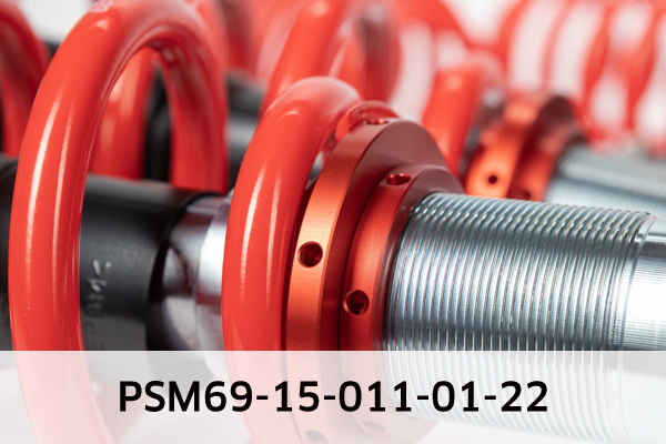 EIBACH PSM69-15-011-01-22 Pro-Street-Multi Fahrwerkssatz, Federn/Dämpfer
