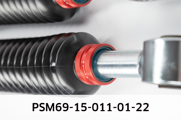 EIBACH PSM69-15-011-01-22 Pro-Street-Multi Fahrwerkssatz, Federn/Dämpfer