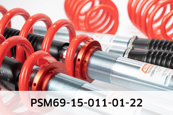 EIBACH PSM69-15-011-01-22 Pro-Street-Multi Fahrwerkssatz, Federn/Dämpfer