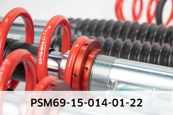 EIBACH PSM69-15-014-01-22 Pro-Street-Multi Fahrwerkssatz, Federn/Dämpfer