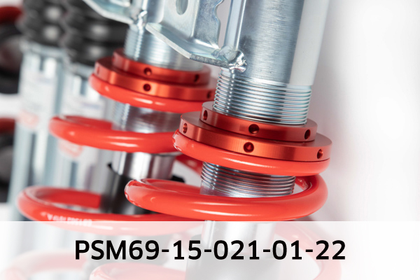 EIBACH PSM69-15-021-02-22 Pro-Street-Multi Fahrwerkssatz, Federn/Dämpfer