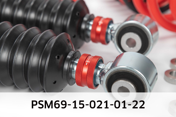 EIBACH PSM69-15-021-02-22 Pro-Street-Multi Fahrwerkssatz, Federn/Dämpfer