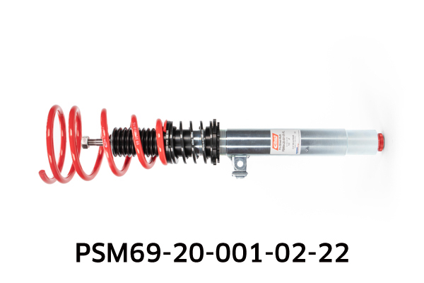 EIBACH PSM69-20-001-02-22 Pro-Street-Multi Fahrwerkssatz, Federn/Dämpfer