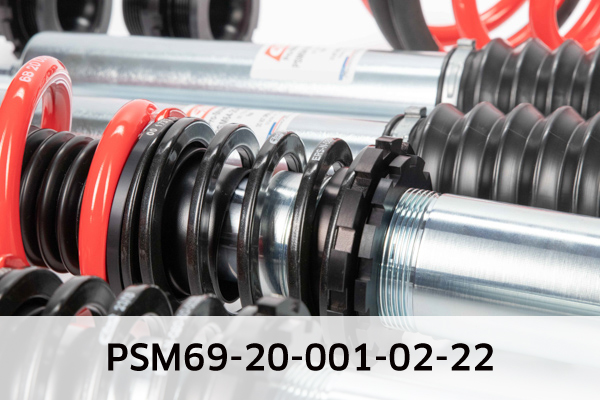 EIBACH PSM69-20-001-02-22 Pro-Street-Multi Fahrwerkssatz, Federn/Dämpfer