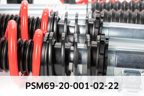 EIBACH PSM69-20-001-02-22 Pro-Street-Multi Fahrwerkssatz, Federn/Dämpfer
