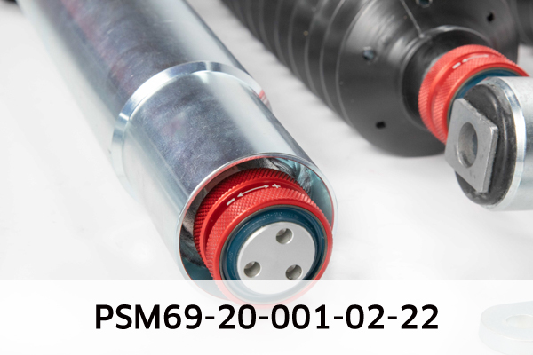 EIBACH PSM69-20-001-02-22 Pro-Street-Multi Fahrwerkssatz, Federn/Dämpfer