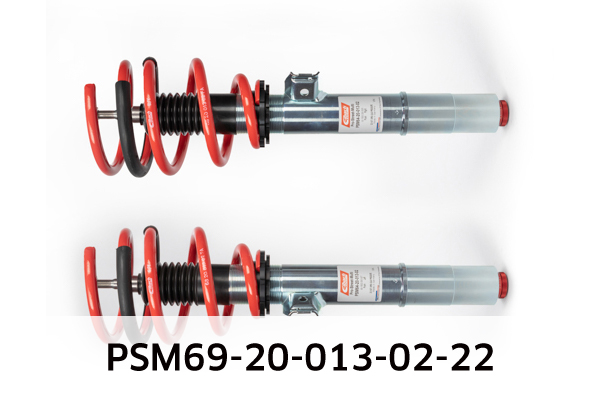 EIBACH PSM69-20-013-02-22 Pro-Street-Multi Fahrwerkssatz, Federn/Dämpfer