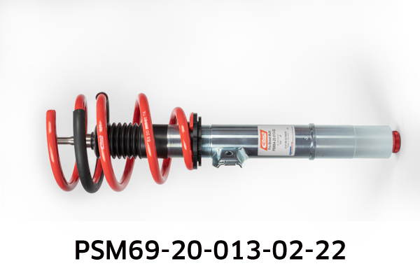 EIBACH PSM69-20-013-02-22 Pro-Street-Multi Fahrwerkssatz, Federn/Dämpfer