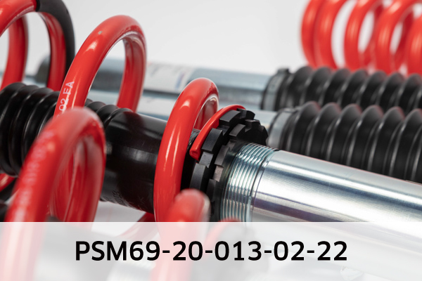 EIBACH PSM69-20-013-02-22 Pro-Street-Multi Fahrwerkssatz, Federn/Dämpfer