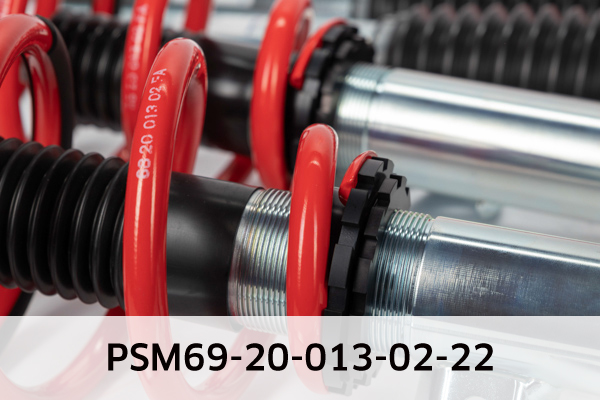 EIBACH PSM69-20-013-02-22 Pro-Street-Multi Fahrwerkssatz, Federn/Dämpfer