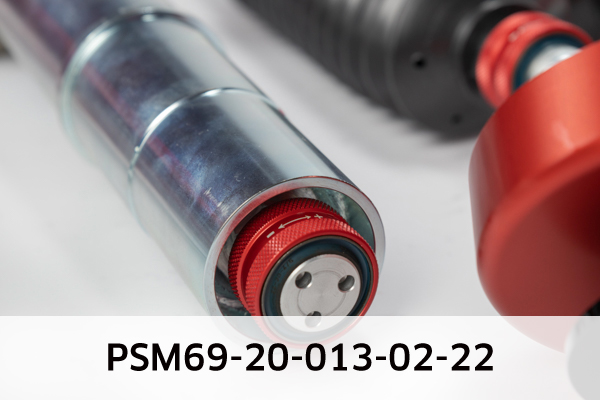 EIBACH PSM69-20-013-02-22 Pro-Street-Multi Fahrwerkssatz, Federn/Dämpfer