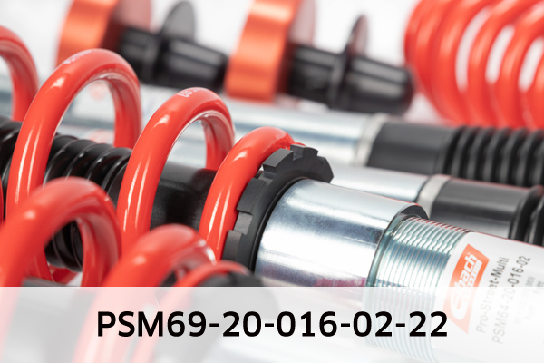 EIBACH PSM69-20-016-02-22 Pro-Street-Multi Fahrwerkssatz, Federn/Dämpfer