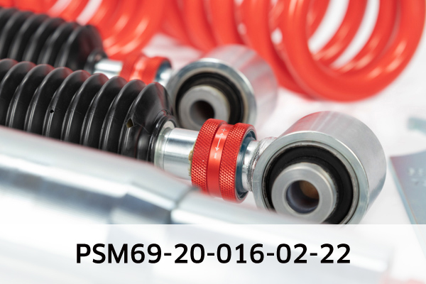 EIBACH PSM69-20-016-02-22 Pro-Street-Multi Fahrwerkssatz, Federn/Dämpfer