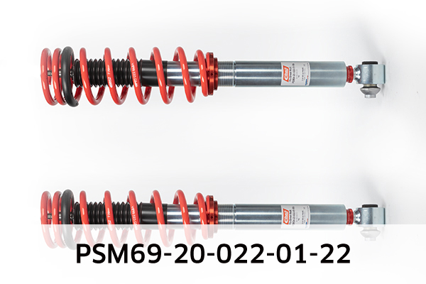 EIBACH PSM69-20-022-01-22 Pro-Street-Multi Fahrwerkssatz, Federn/Dämpfer