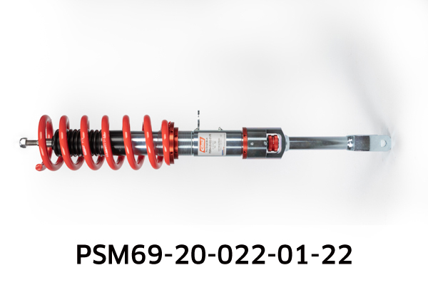 EIBACH PSM69-20-022-01-22 Pro-Street-Multi Fahrwerkssatz, Federn/Dämpfer