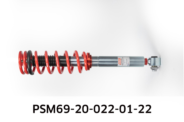 EIBACH PSM69-20-022-01-22 Pro-Street-Multi Fahrwerkssatz, Federn/Dämpfer