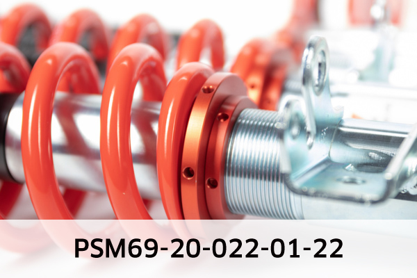 EIBACH PSM69-20-022-01-22 Pro-Street-Multi Fahrwerkssatz, Federn/Dämpfer