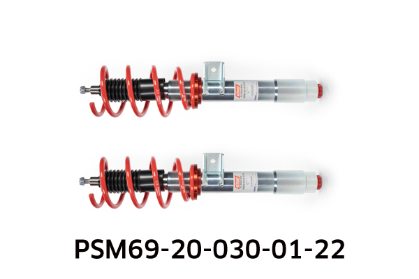 EIBACH PSM69-20-030-01-22 Pro-Street-Multi Fahrwerkssatz, Federn/Dämpfer