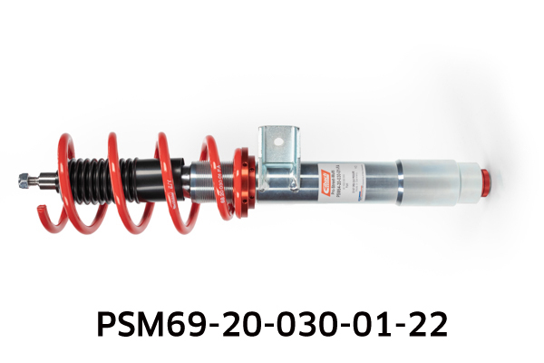 EIBACH PSM69-20-030-01-22 Pro-Street-Multi Fahrwerkssatz, Federn/Dämpfer
