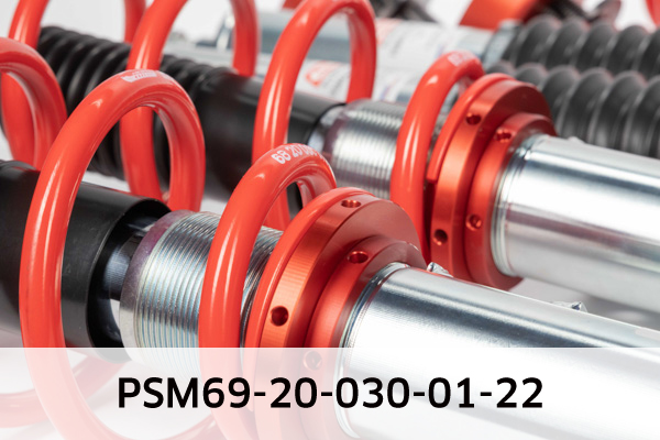EIBACH PSM69-20-030-01-22 Pro-Street-Multi Fahrwerkssatz, Federn/Dämpfer