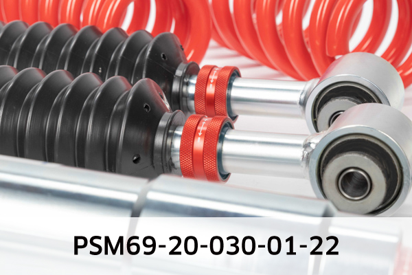 EIBACH PSM69-20-030-01-22 Pro-Street-Multi Fahrwerkssatz, Federn/Dämpfer