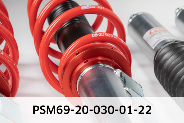 EIBACH PSM69-20-030-01-22 Pro-Street-Multi Fahrwerkssatz, Federn/Dämpfer