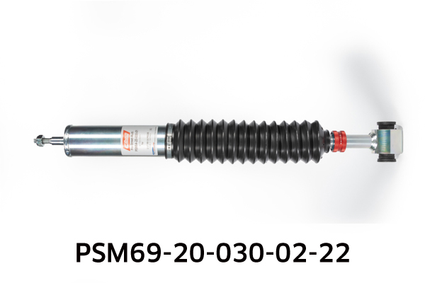 EIBACH PSM69-20-030-02-22 Pro-Street-Multi Fahrwerkssatz, Federn/Dämpfer