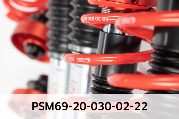 EIBACH PSM69-20-030-02-22 Pro-Street-Multi Fahrwerkssatz, Federn/Dämpfer