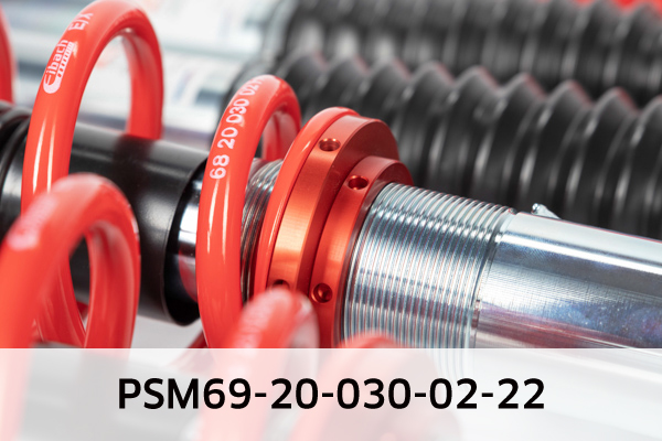 EIBACH PSM69-20-030-02-22 Pro-Street-Multi Fahrwerkssatz, Federn/Dämpfer