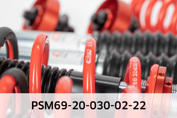 EIBACH PSM69-20-030-02-22 Pro-Street-Multi Fahrwerkssatz, Federn/Dämpfer