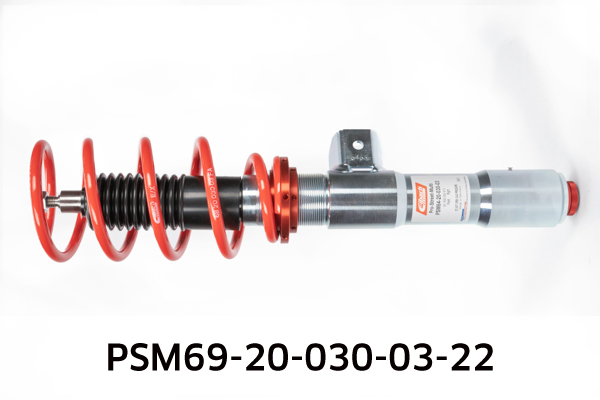 EIBACH PSM69-20-030-03-22 Pro-Street-Multi Fahrwerkssatz, Federn/Dämpfer