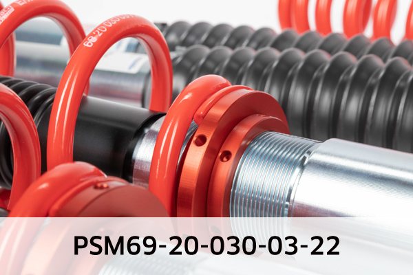 EIBACH PSM69-20-030-03-22 Pro-Street-Multi Fahrwerkssatz, Federn/Dämpfer