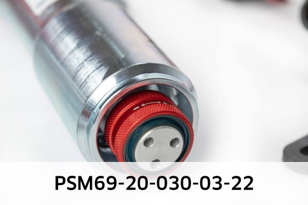 EIBACH PSM69-20-030-03-22 Pro-Street-Multi Fahrwerkssatz, Federn/Dämpfer