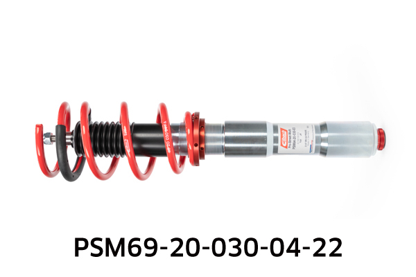 EIBACH PSM69-20-030-04-22 Pro-Street-Multi Fahrwerkssatz, Federn/Dämpfer