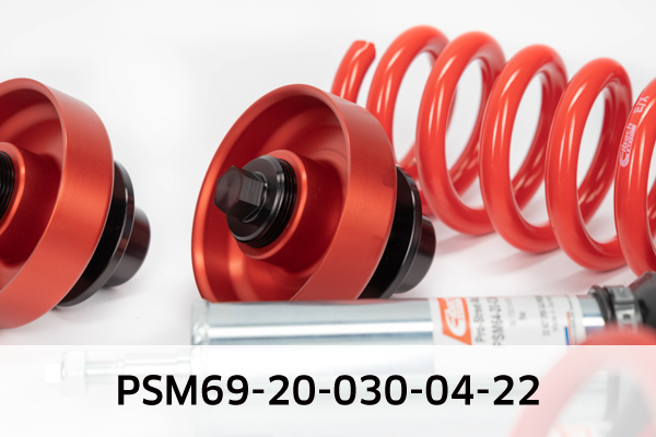 EIBACH PSM69-20-030-04-22 Pro-Street-Multi Fahrwerkssatz, Federn/Dämpfer