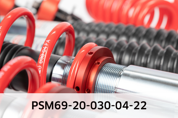 EIBACH PSM69-20-030-04-22 Pro-Street-Multi Fahrwerkssatz, Federn/Dämpfer