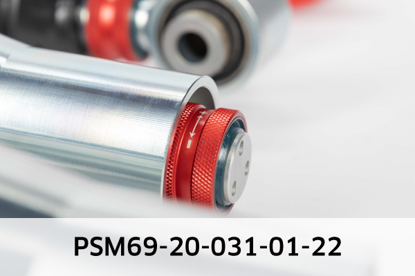 EIBACH PSM69-20-031-01-22 Pro-Street-Multi Fahrwerkssatz, Federn/Dämpfer