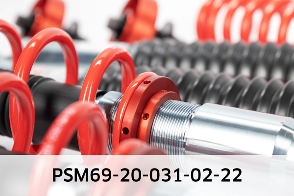 EIBACH PSM69-20-031-02-22 Pro-Street-Multi Fahrwerkssatz, Federn/Dämpfer