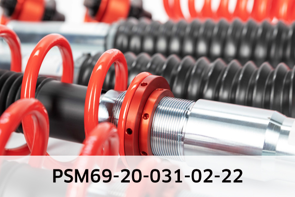 EIBACH PSM69-20-031-02-22 Pro-Street-Multi Fahrwerkssatz, Federn/Dämpfer