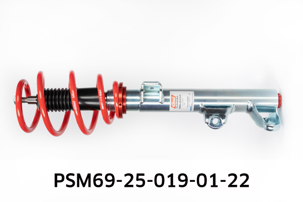 EIBACH PSM69-25-019-01-22 Pro-Street-Multi Fahrwerkssatz, Federn/Dämpfer