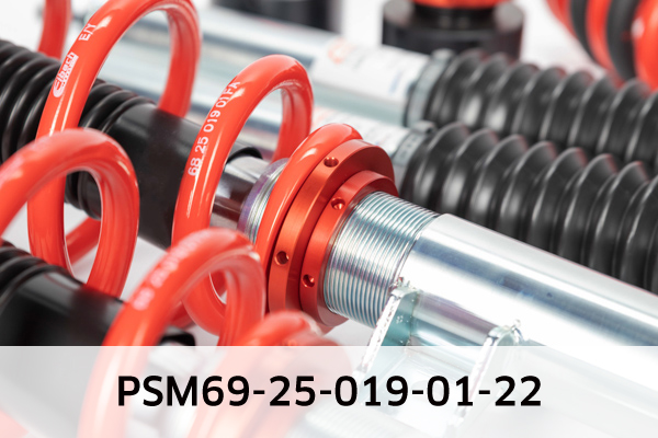 EIBACH PSM69-25-019-01-22 Pro-Street-Multi Fahrwerkssatz, Federn/Dämpfer