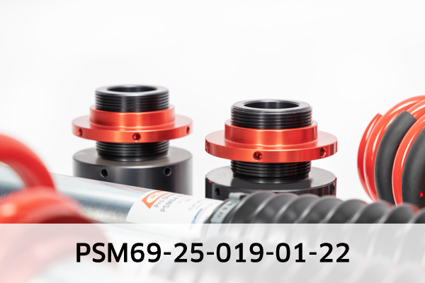 EIBACH PSM69-25-019-01-22 Pro-Street-Multi Fahrwerkssatz, Federn/Dämpfer