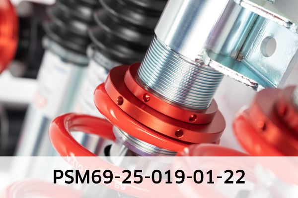 EIBACH PSM69-25-019-01-22 Pro-Street-Multi Fahrwerkssatz, Federn/Dämpfer