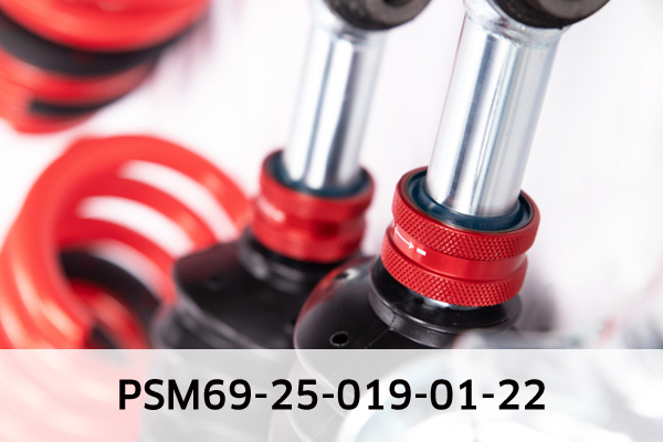 EIBACH PSM69-25-019-01-22 Pro-Street-Multi Fahrwerkssatz, Federn/Dämpfer