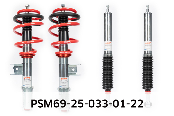 EIBACH PSM69-25-033-01-22 Pro-Street-Multi Fahrwerkssatz, Federn/Dämpfer
