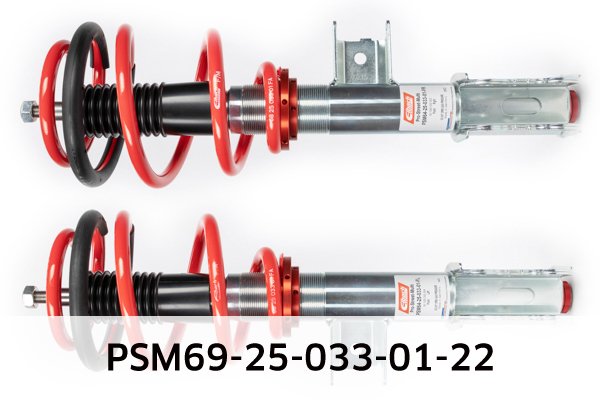 EIBACH PSM69-25-033-01-22 Pro-Street-Multi Fahrwerkssatz, Federn/Dämpfer