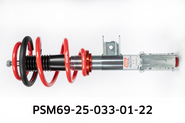 EIBACH PSM69-25-033-01-22 Pro-Street-Multi Fahrwerkssatz, Federn/Dämpfer